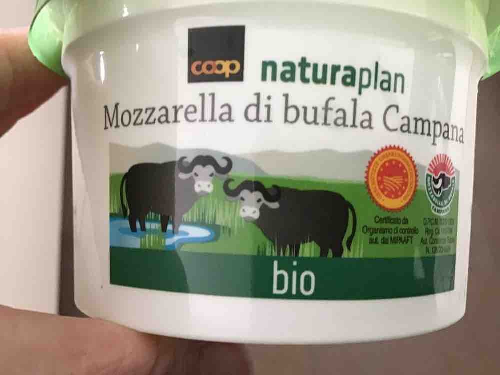 Naturaplan Bio Mozzarella di Bufala von möhre18 | Hochgeladen von: möhre18