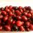 Cranberry, frisch | Uploaded by: maeuseturm