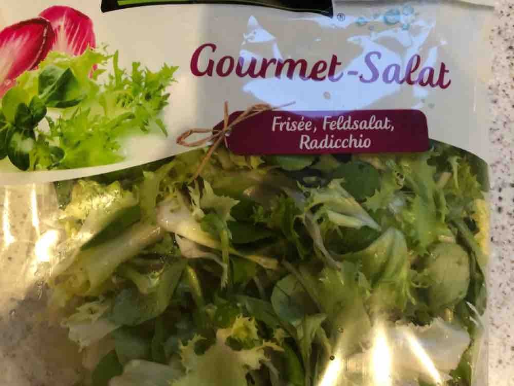 Gourmet-Salat, Frisée, Feldsalat, Radicchio von Hexy1984 | Hochgeladen von: Hexy1984