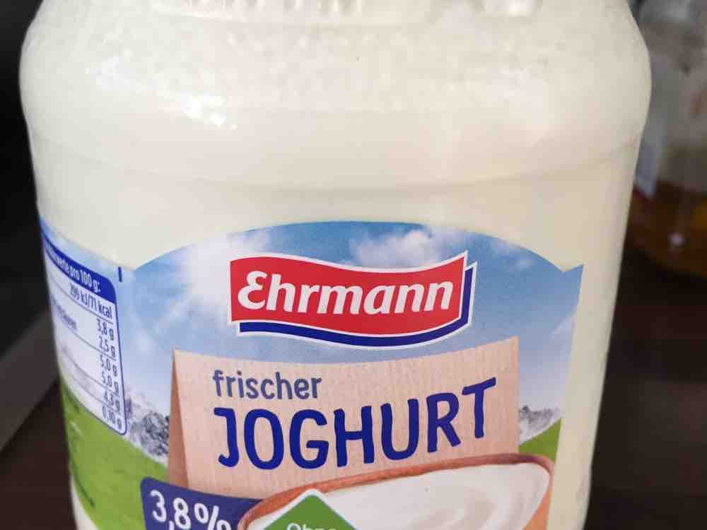 Frischer Joghurt 3,8% Fett von amreich | Hochgeladen von: amreich