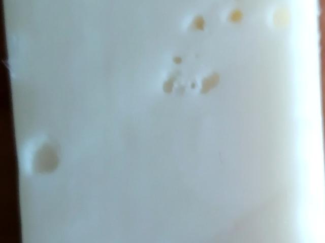 Hochgeladen von: Rosebug