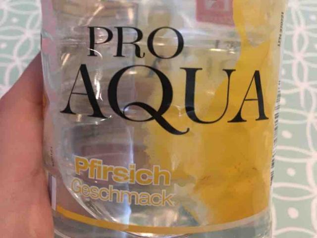 Pro Aqua, Pfirsich von yvonnema | Hochgeladen von: yvonnema