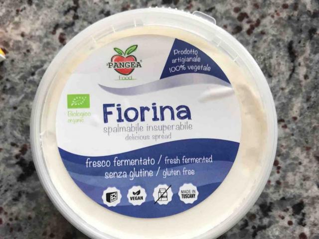 Fiorina Frischkäse, vegan von Selinavoelk | Hochgeladen von: Selinavoelk