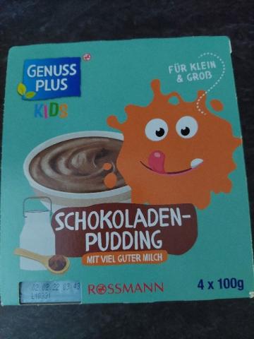 Schokoladen-Pudding, Genuss Plus von frolain | Hochgeladen von: frolain