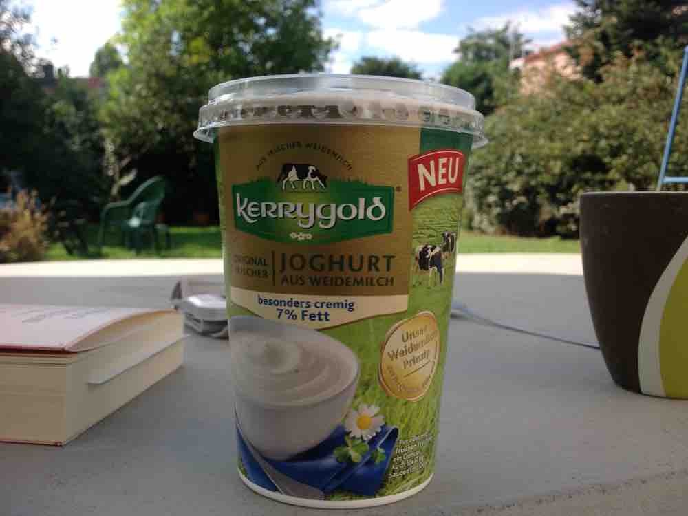Kerrygold Joghurt, aus Weidemilch von rhino1 | Hochgeladen von: rhino1