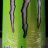 MONSTER ENERGY, Ultra Paradise von Schrottlise | Hochgeladen von: Schrottlise