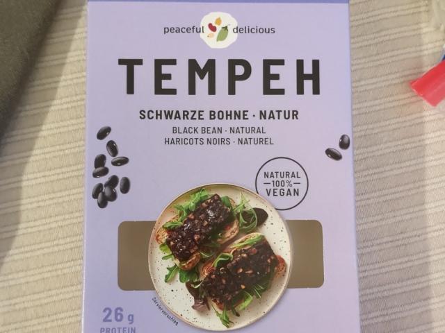 Tempeh, Schwarze Bohne Natur by MKG84 | Uploaded by: MKG84