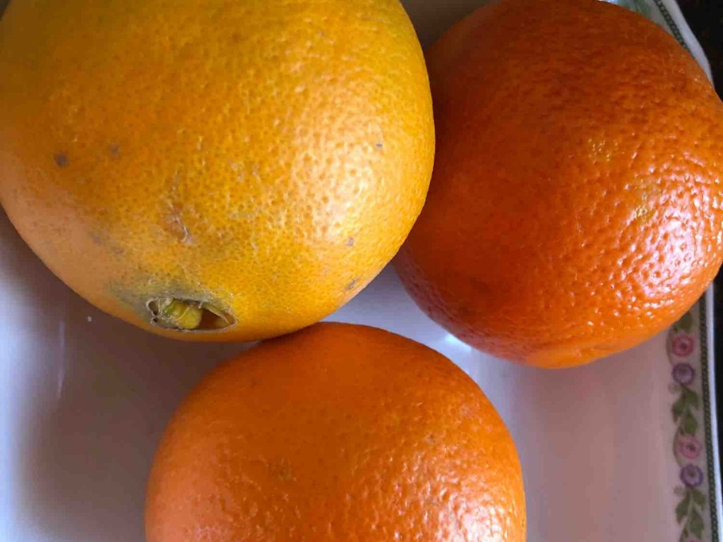 Orangesaft 100% Fruchtgehalt von TTE2024 | Hochgeladen von: TTE2024