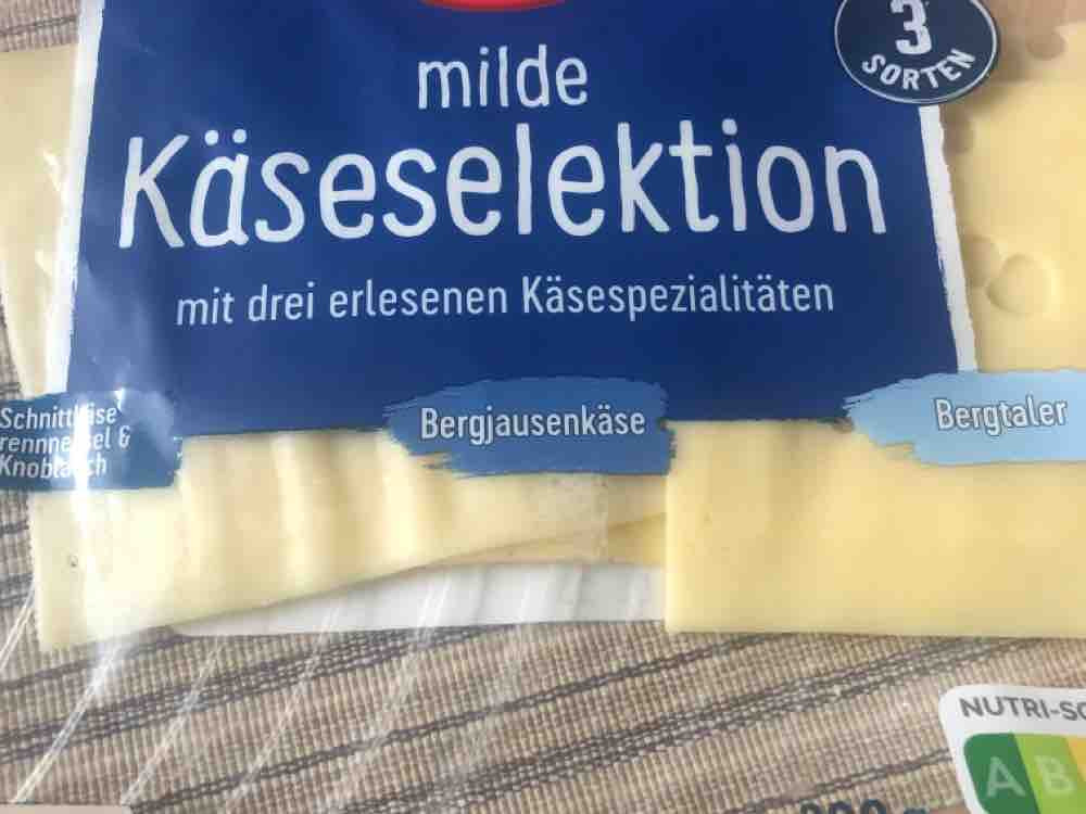 Bergjausenkäse von ahle1 | Hochgeladen von: ahle1