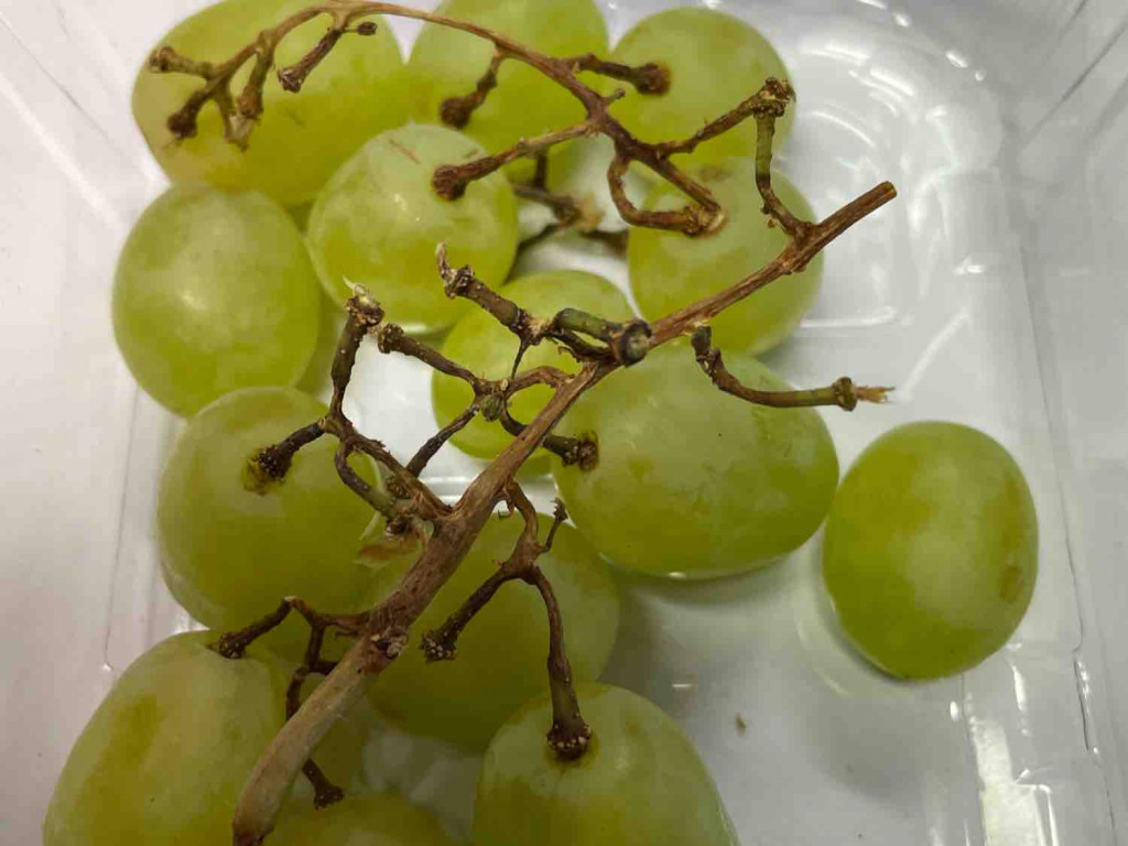 Zuckerwatte Weintrauben, Honigsüß im Geschmack von VanessaGu | Hochgeladen von: VanessaGu