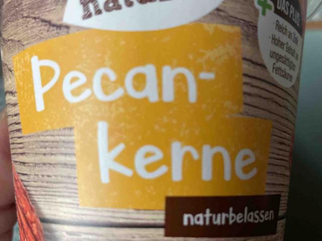 Pecan-Kerne, Nüsse von ramonamanuela | Hochgeladen von: ramonamanuela