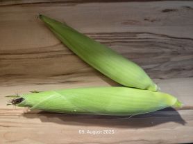 Hochgeladen von: cucuyo111