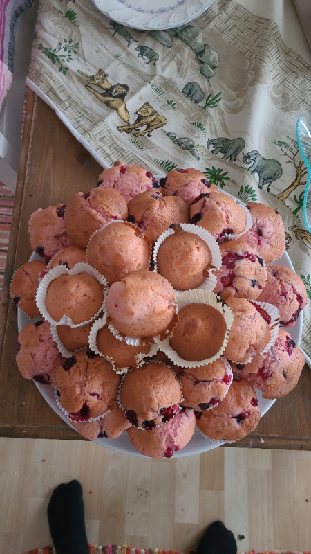 Beeren Muffins von MrsDarkWar | Hochgeladen von: MrsDarkWar