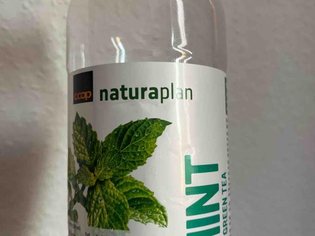 MINT, Bio Green Tea von trenQuo | Hochgeladen von: trenQuo