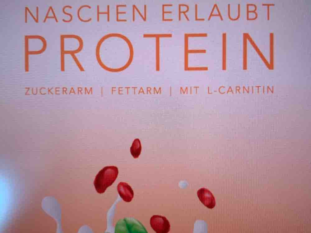 Protein shake, Joghurt-Geschmack mit Cranberrystückchen von thfl | Hochgeladen von: thflechsig