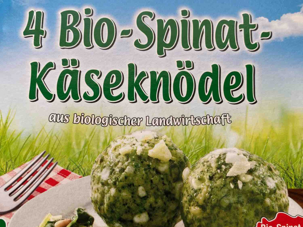 Bio-Spinat-Käseknödel von StefK | Hochgeladen von: StefK