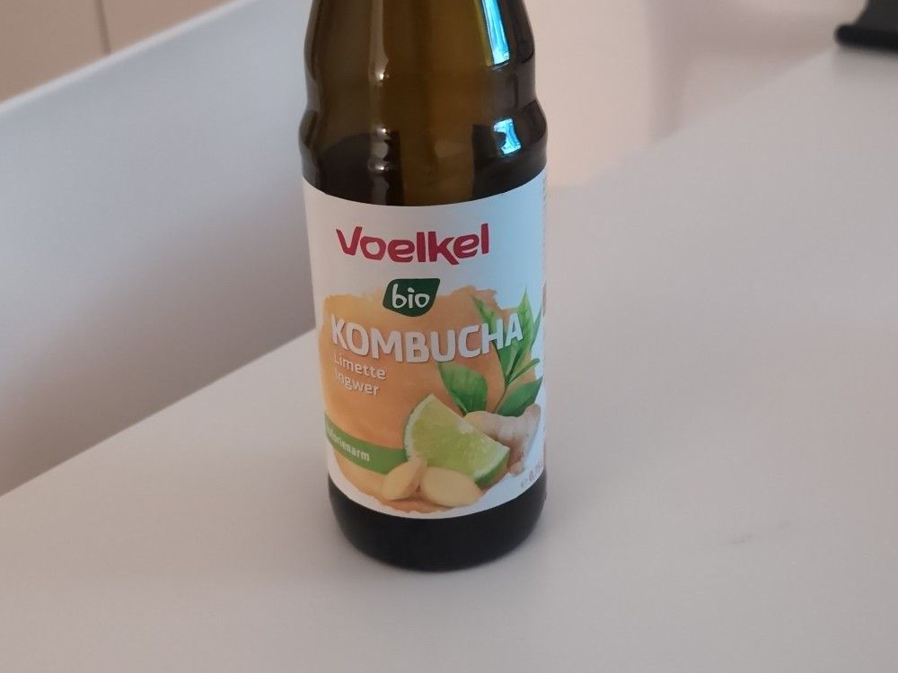 Kombucha von reef_junkie | Hochgeladen von: reef_junkie