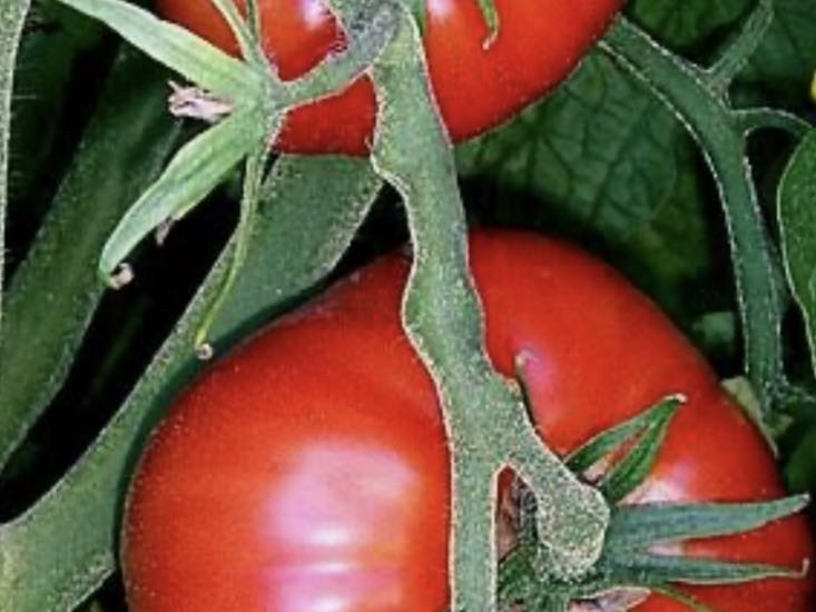 Hochgeladen von: MelMurmel