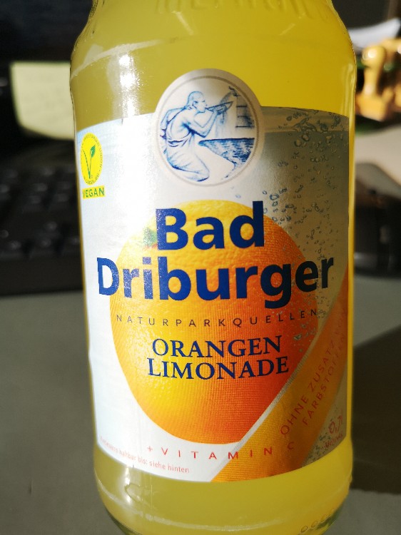 Orangen Limonade, Mit vitamin C von felixferdinand | Hochgeladen von: felixferdinand