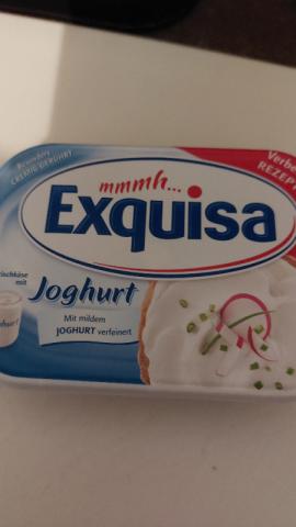 Frischkäse mit Joghurt von Enibas1 | Hochgeladen von: Enibas1