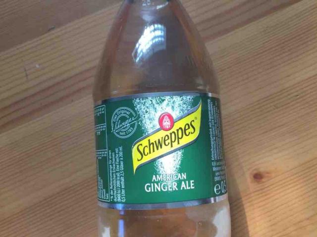 American Ginger Ale von Sonatallia | Hochgeladen von: Sonatallia