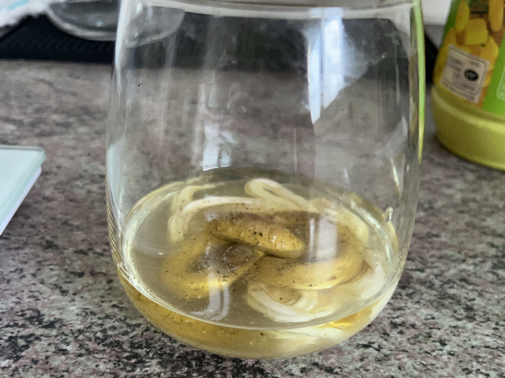 Hochgeladen von: philinebeyeler