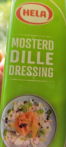 Mosterd Dille Dressing von MessiSchniggels | Hochgeladen von: MessiSchniggels