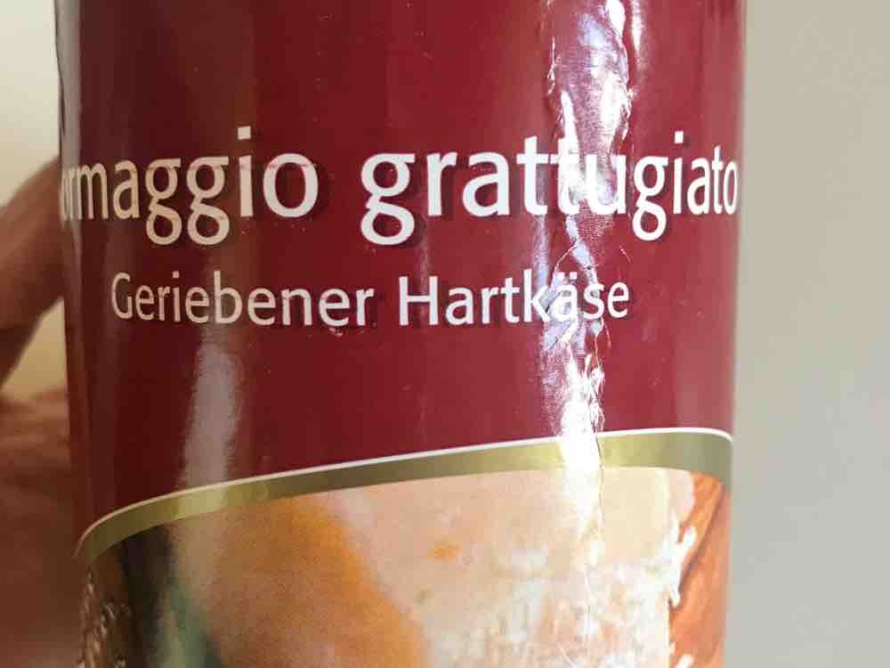Formaggio grattugiato, Geriebener Hartkäse  von melaniemeilinger | Hochgeladen von: melaniemeilinger