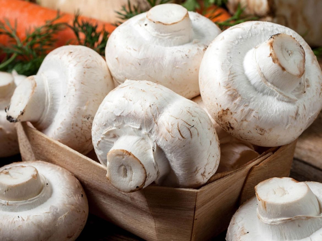 Hochgeladen von: dorismgmxat