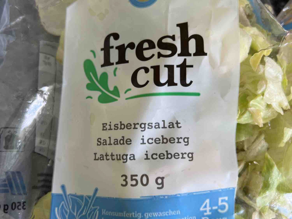 Eisbergsalat von Michelapepe | Hochgeladen von: Michelapepe