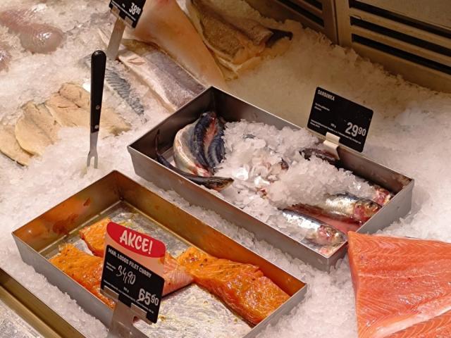 Hochgeladen von: Stella Steinbrenner Hochgeladen von: Stella Steinbrenner