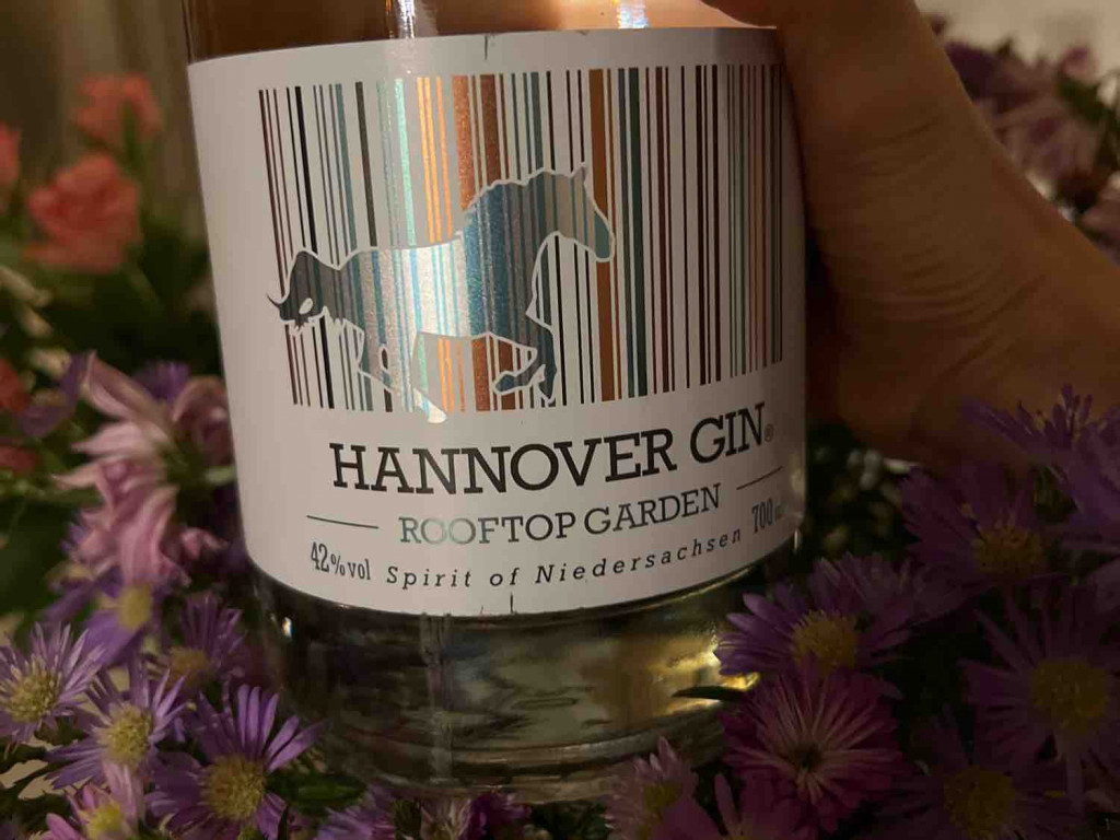 Hannover Gin Rooftop Garden 42% von Synni777 | Hochgeladen von: Synni777