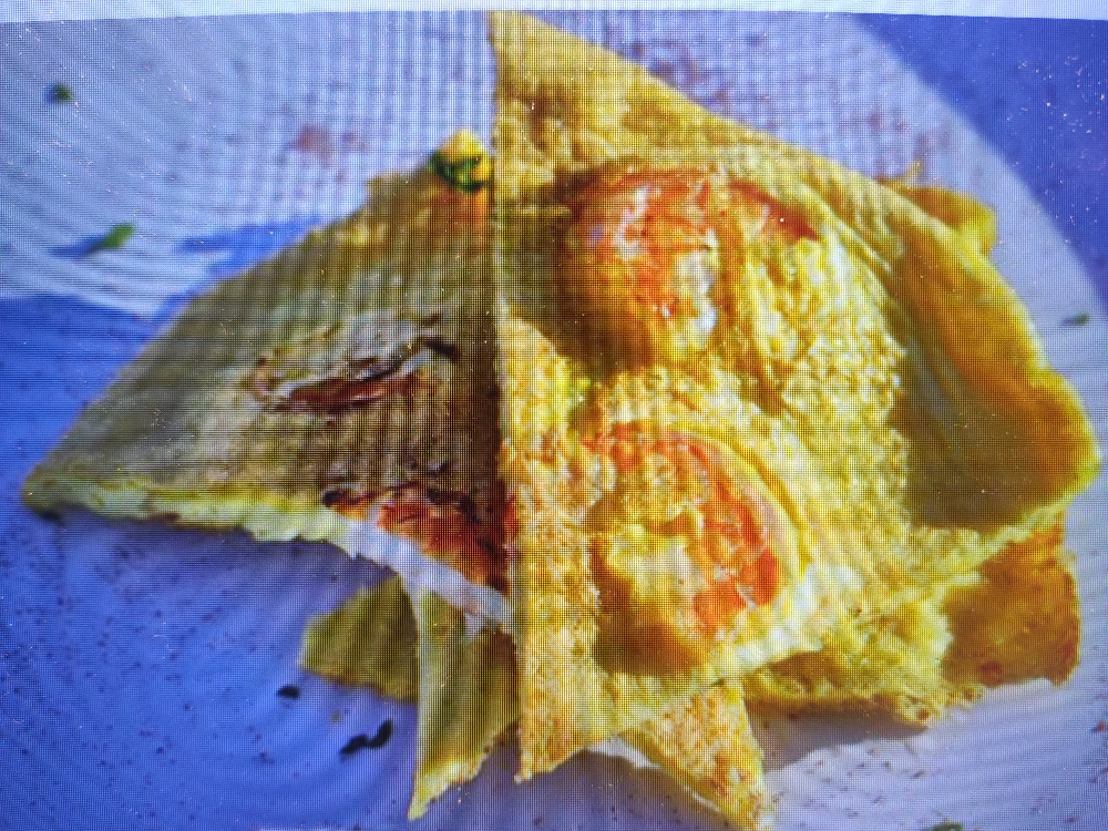 Tortilla die Gambas von mmissalla | Hochgeladen von: mmissalla