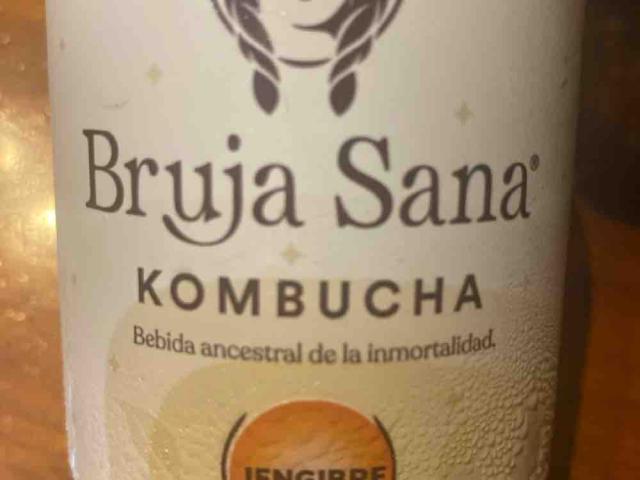 kombucha bruja jengibre by Noeliadas | Uploaded by: Noeliadas