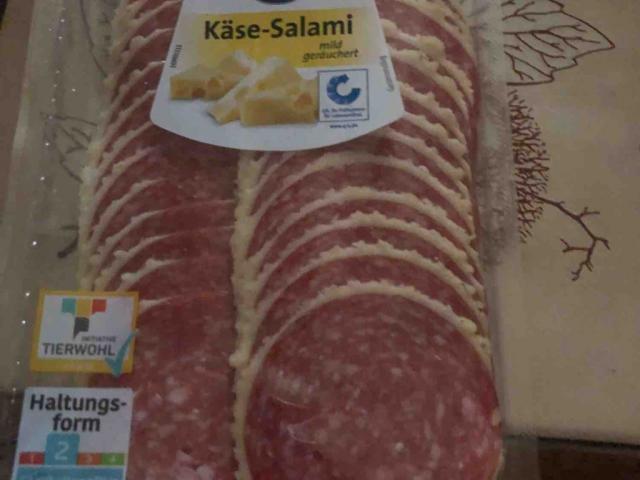 Käse-Salami von Manu1606 | Hochgeladen von: Manu1606