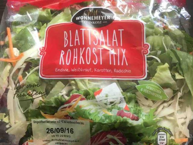 Blattsalat Rohkost Mix von blümchen904 | Hochgeladen von: blümchen904