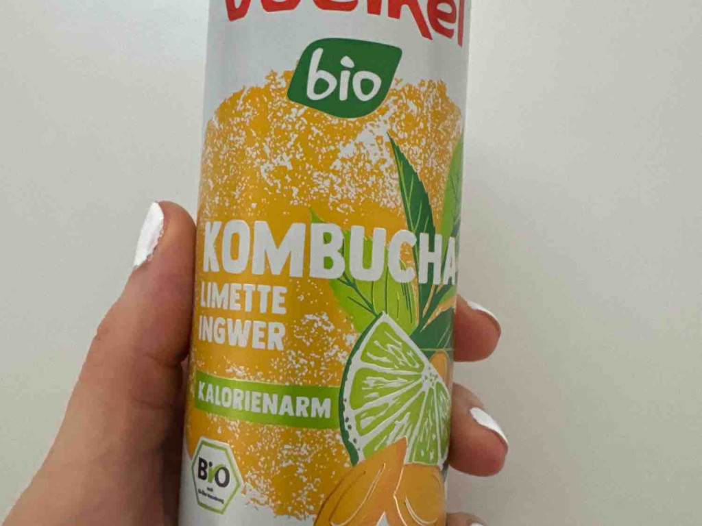 Kombucha Vorlkel von Irina86 | Hochgeladen von: Irina86