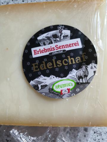 Edelschaf Zillertaler von BriSpi | Hochgeladen von: BriSpi