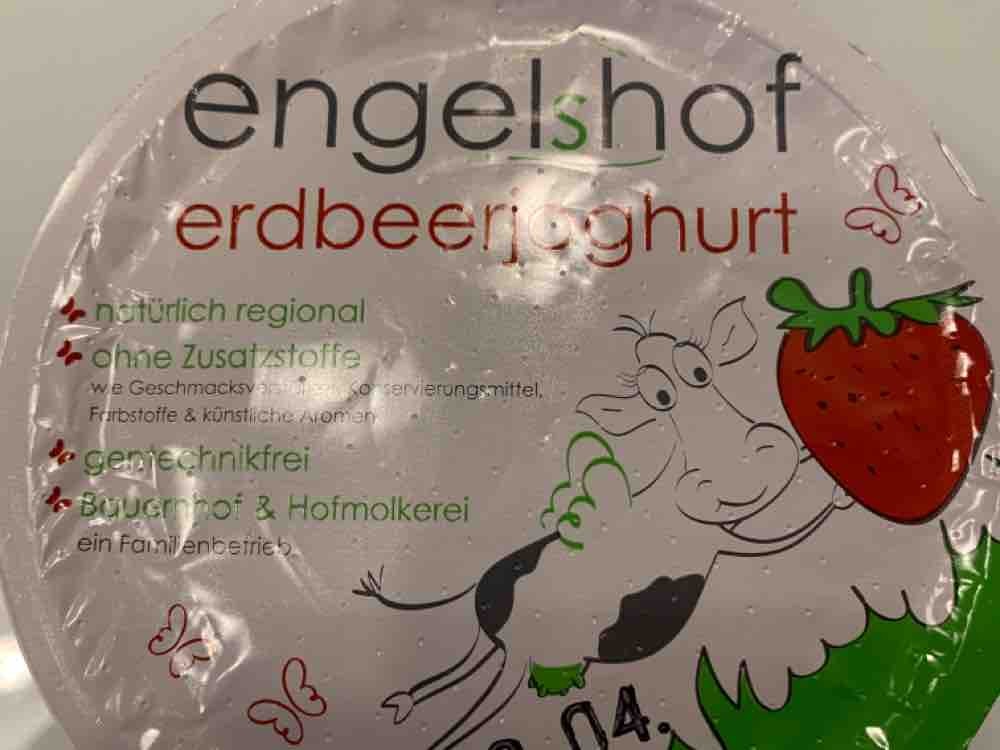 Erdbeerjoghurt, 3,8% Fett im Milchanteil von greta2910 | Hochgeladen von: greta2910