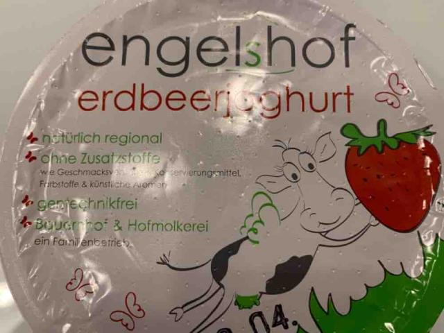Erdbeerjoghurt, 3,8% Fett im Milchanteil von greta2910 | Hochgeladen von: greta2910