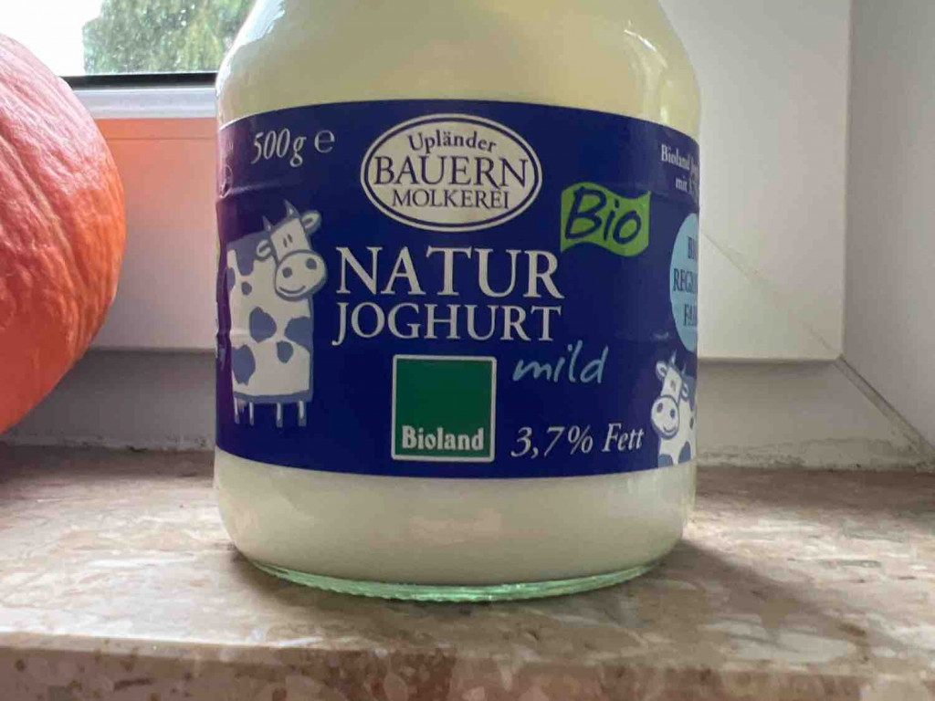 Natur Joghurt Bio, 3,7 % Fett von Kristian80 | Hochgeladen von: Kristian80