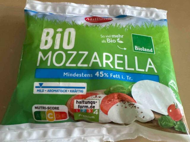 Bio Mozzarella von gow2 | Hochgeladen von: gow2