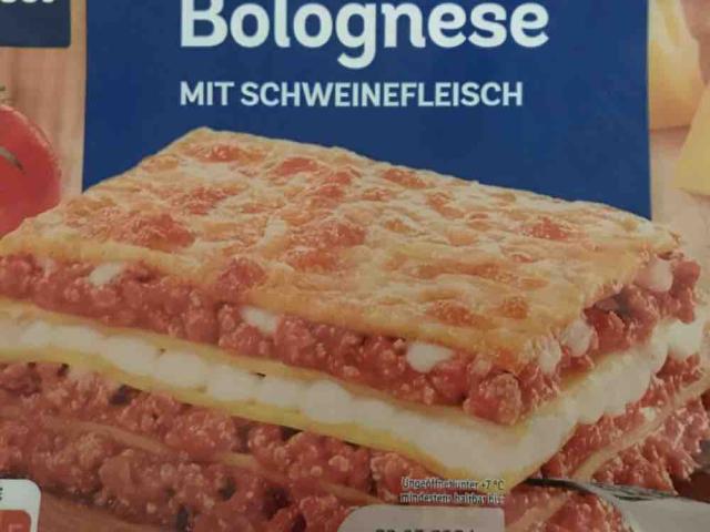 Lasagne Bolognese, mit Schweinefleisch von hendlbreastl | Hochgeladen von: hendlbreastl