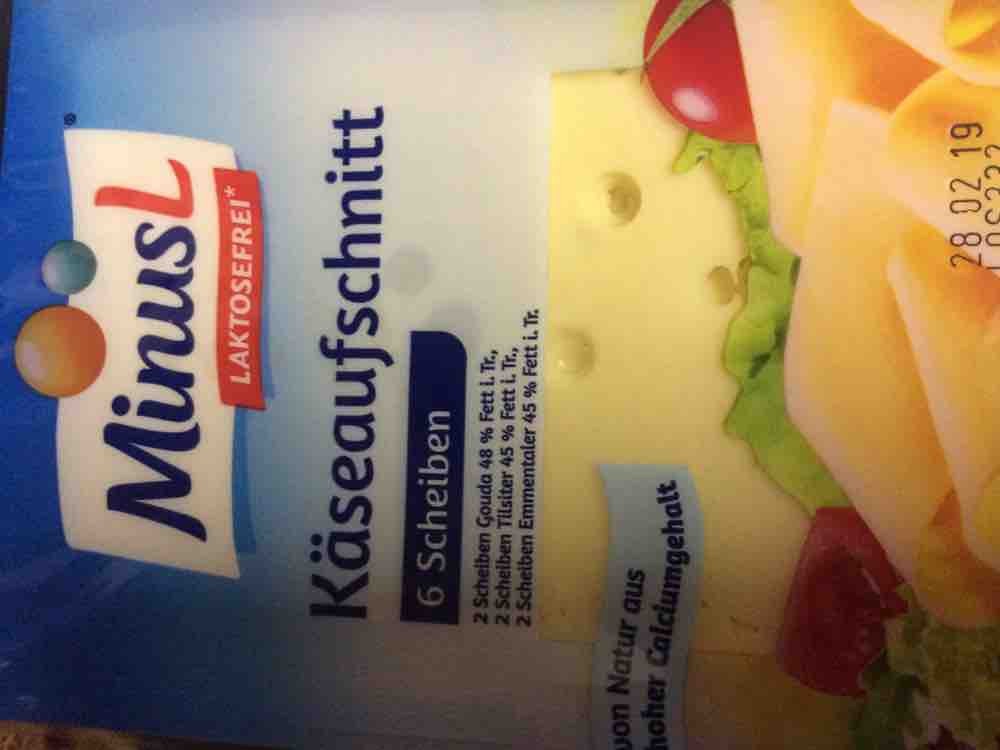 Minus L Käse Aufschnitt, lactosefrei von zwergieelke | Hochgeladen von: zwergieelke