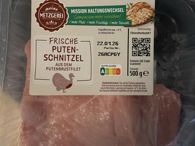 Uploaded by: JulianaV