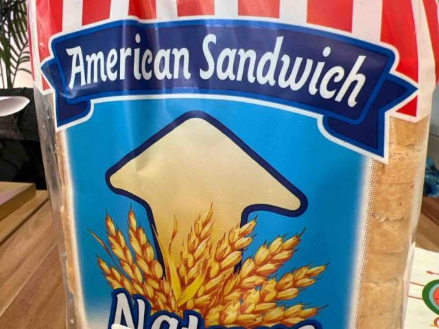 Toast, American Sandwich by Miichan | Uploaded by: Miichan