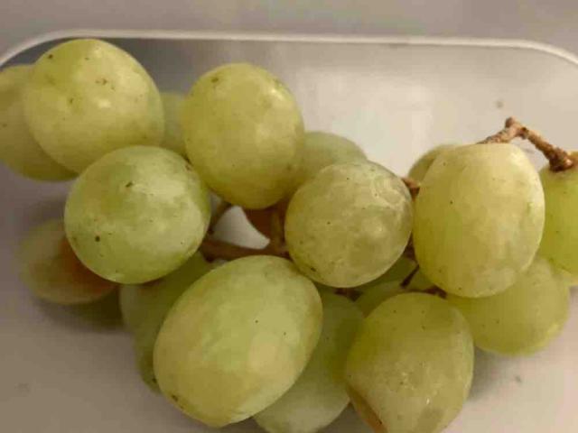 Grapes,  green by kellyannallen | Uploaded by: kellyannallen
