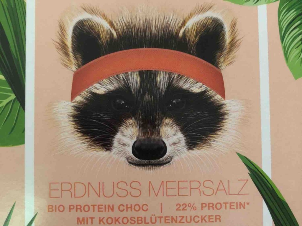 Erdnuss Meersalz, Bio Protein Choc von vnssfschr | Hochgeladen von: vnssfschr