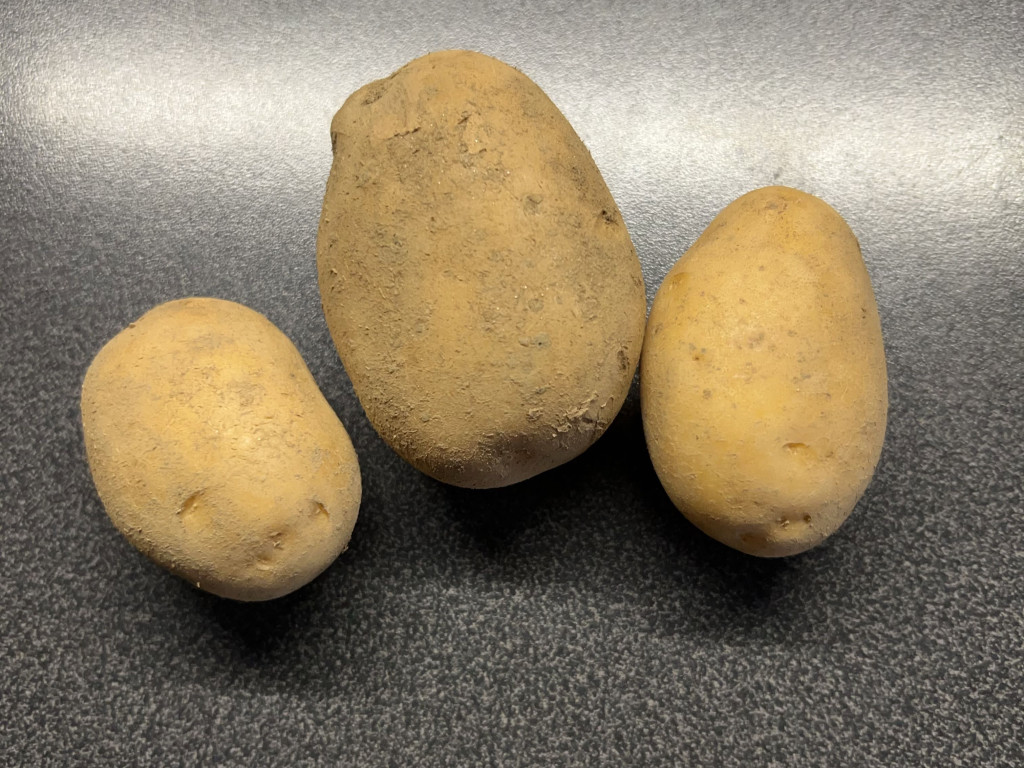 Hochgeladen von: Tara1000