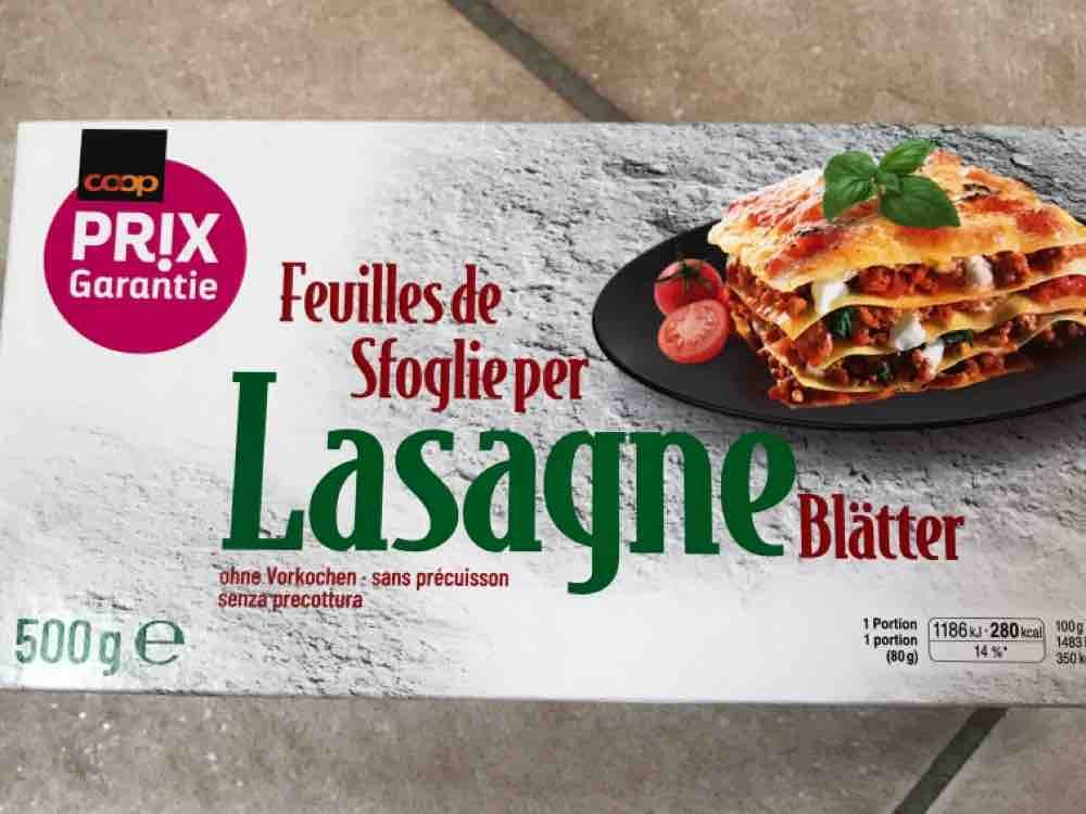 Lasagne Blätter, ohne Vorkochen von Spargeltarzan | Hochgeladen von: Spargeltarzan